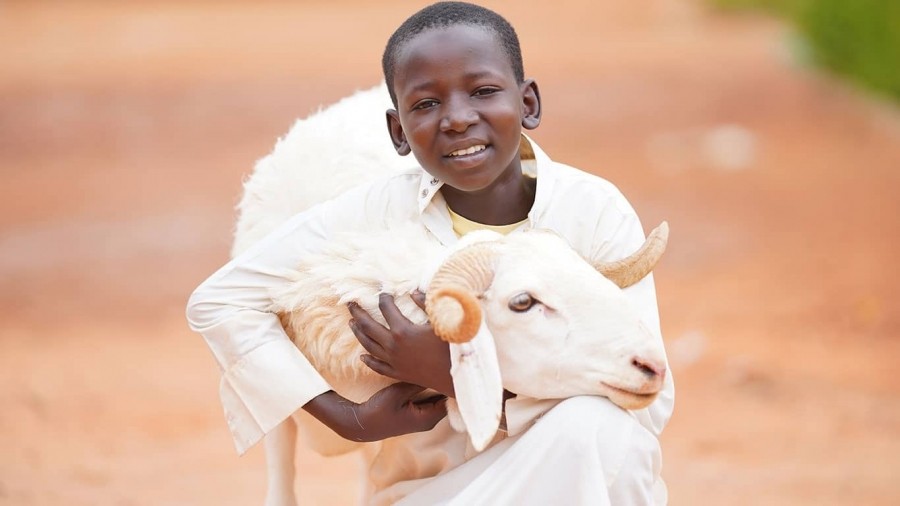 Afrika Kurban Bağışı